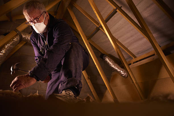 Best Residential Insulation Services  in Susanville, CA